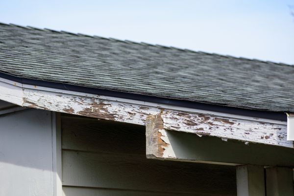 Destin Wood Rot Repair