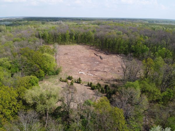 Destin Land Clearing